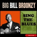 Big Bill's Guitar Blues