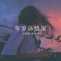 努力变成你爱的模样 (Remix)