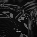 Swoosh、WhoIsTreyPound - What'd I Miss (Explicit)