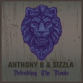 Sizzla、Anthony B - No Blemish
