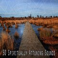 Sound Library XL - Mind Refreshment