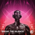 Declain - Break The Silence