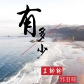 王帅帅、邪羽瞳 - 有多少