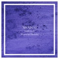 Mexico (Punctual Remix)