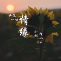 小枫、陌小云 - 许你一世情缘