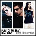 Pulse of the Beat、Big J Beezy - Been Number One