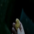Roger Rabbit - Sleepyhead