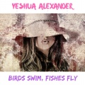 Yeshua Alexander - Birds Swim, Fishes Fly