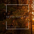 Rich Akoustic - Never Too Late