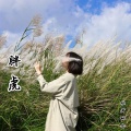 歌者林念 - 酒醉的蝴蝶