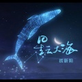 孤新阳 - 逞强