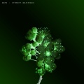 ZMHO、Dukii、elmo - Eternity (Dukii&ElmoRemix)