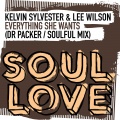 Kelvin Sylvester、Lee Wilson - Everything She Wants (SoulfulMixExtended)