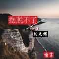情言 - 摆脱不了命运的束缚