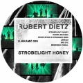 robert dietz - Gravitation Is Stronger Here