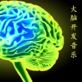 阿尔法波音 - 唤醒大脑