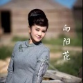 乔建军、敖都 - 向阳花