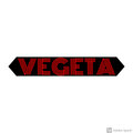 truth - Vegeta (Explicit)