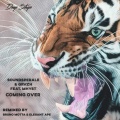 Soundsperale、QRVZH、Mhyst - Coming Over (Bruno Motta Remix)