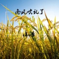 苏一浩 - 南风吹乱了谷堆