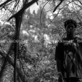 Haleek Maul、Sean Leon - Lucid