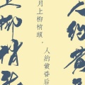 青元 - 忆
