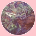 Merge of Equals、Calar Del Sole、Austin Wile - Frozen