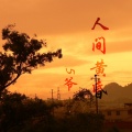 5爷 - 悬溺