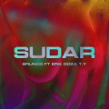 Erik Doza、Tony Money、BrunoG、Young Miky T.Y. - Sudar