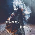 中文电摇-小酒窝