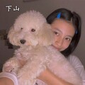 Dawin、Sweet小萌主、贺文、电音凌梦 - 东北社会王