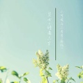 莫七、诗者三岁 - 小可爱与小哥哥 (新版)