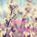 沈芷萱、祁凡的烦 - 爱的誓言