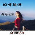 如果可以恨你我愿全力以赴 (DJ版)