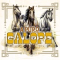 La Furia del Bravo、La Alianza Norteña、La Maquinaria Norteña、Conjunto Peña Blanca、Sexto Grado、Estilo Chihuahua、La Reunión Norteña - El Nuevo Arroyero