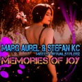 Memories of Joy (Radio Edit)