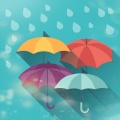 哀四杏 - 是该抱怨雨吗