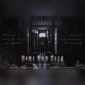 锦双双双 - Hide and Seek