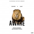 AWE、LollyZondy - Aware
