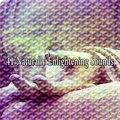 Sound Library XL - Self Examination