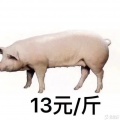 唐小力 - 读书郎