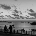 周瑶瑶 - 记昨日书