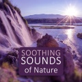 Universe of Nature Orchestra - Balance Music