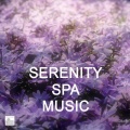 Divine Spa Music Series - Meditation Music