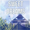 Insomnia Cure Music Society - Magic Dreams