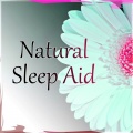 Restful Sleep Music Academy - Sleep Oasis