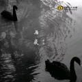 南冥 - 期待