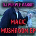 DJ Purple Rabbit - Field of Mushrooms