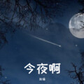 赵瑞 - 今夜啊