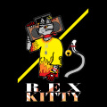 Rex Kitty - The Outside is Raining